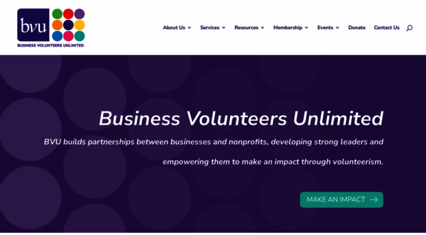 bvuvolunteers.org