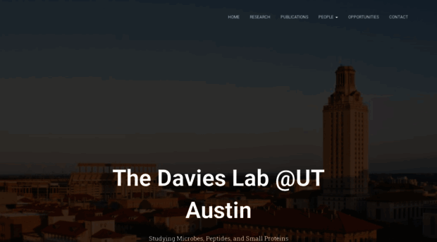 bwdaviesutaustin.org