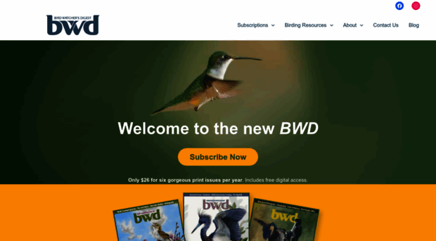 bwdmagazine.com