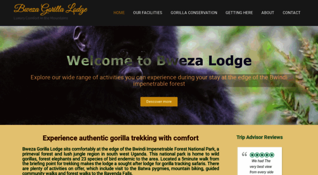 bwezagorillalodge.com