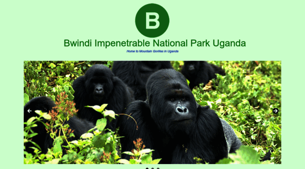 bwindiimpenetrablenationalparkuganda.com