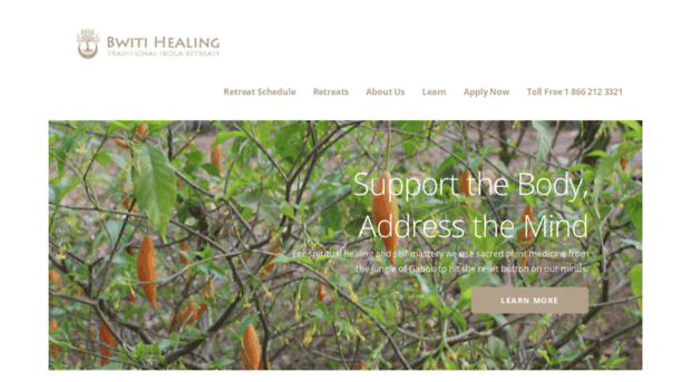 bwitihealing.com