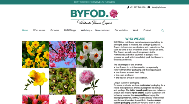 byfod.com