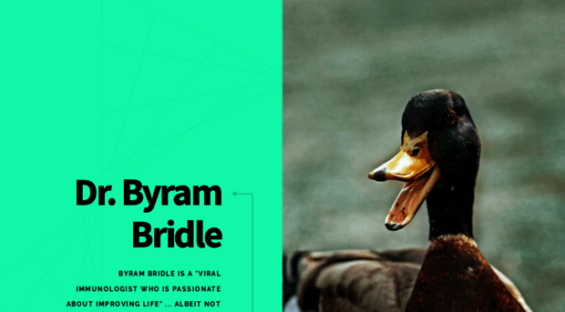 byrambridle.com