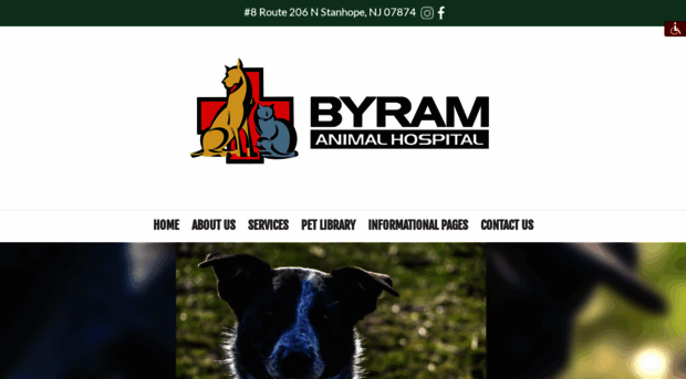 byramvet.com