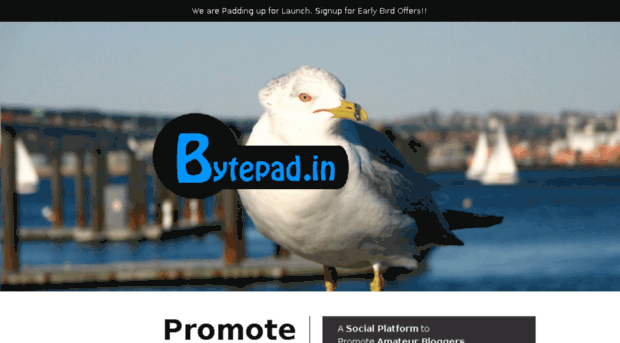 bytepad.in