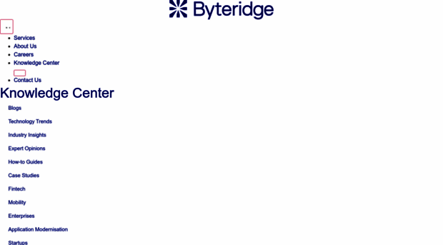 byteridge.com