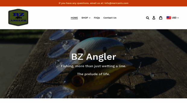 bzangler.com