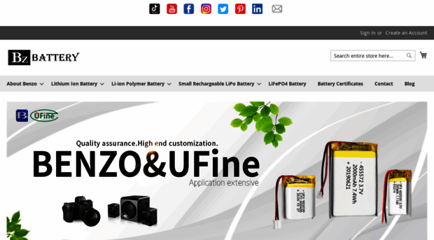 bzbattery.com