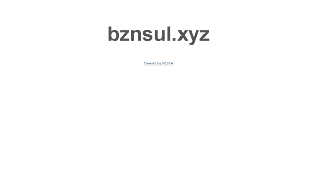 bznsul.xyz