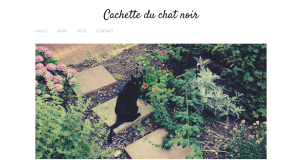 c-chatnoir.com