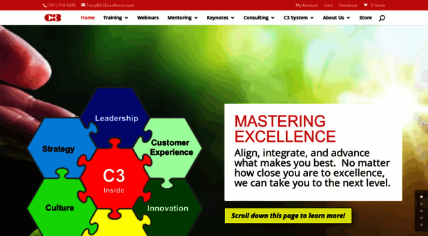 c3excellence.com