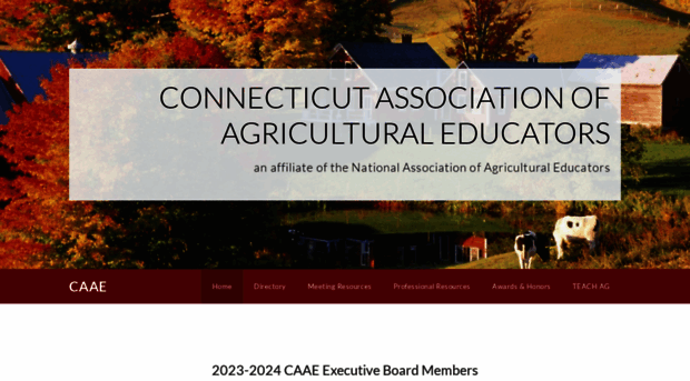 caaeonline.org