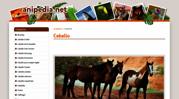 caballos.anipedia.net