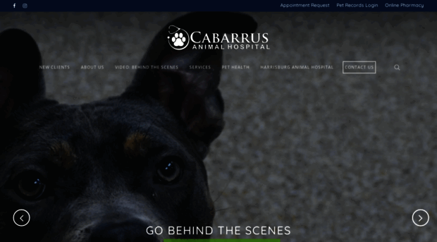 cabarrusanimalhospital.com