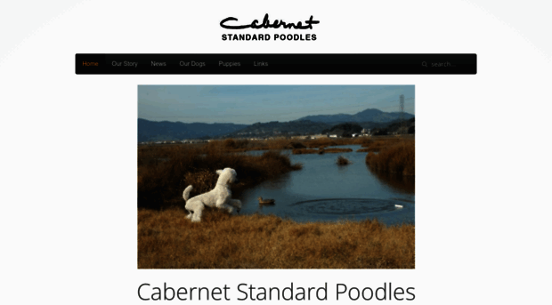 cabernetstandardpoodles.com