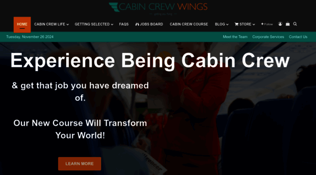 cabincrewwings.com