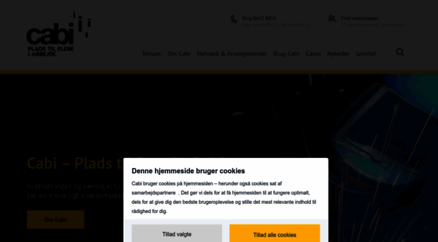 cabiweb.dk