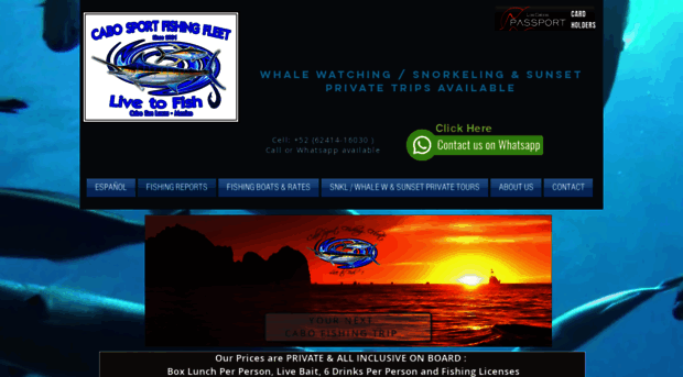 cabosportfishingfleet.com