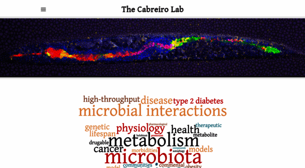 cabreirolab.org