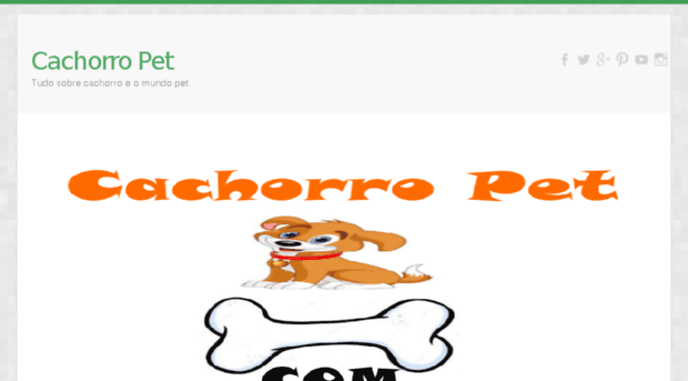 cachorropet.com