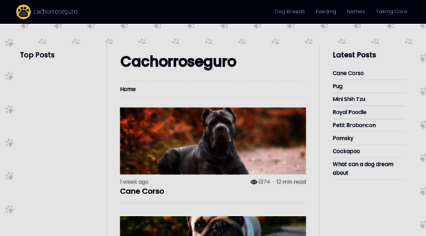 cachorroseguro.com