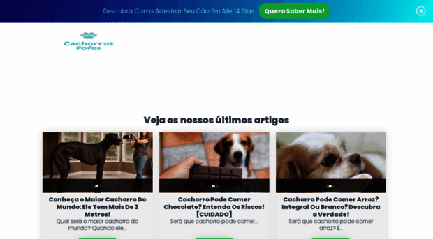 cachorrosfofos.com.br