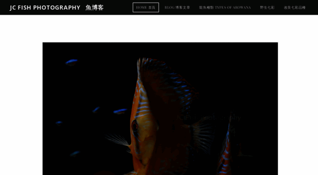 cacichlid.weebly.com