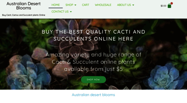 cactiandsucculentsrus.com.au