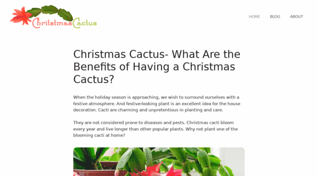 cactus-christian.org