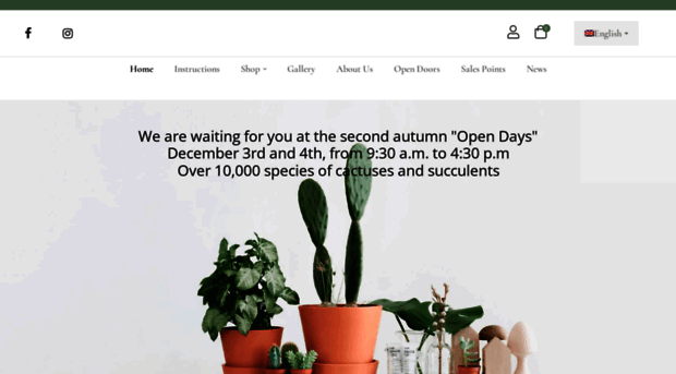 cactusellis.com