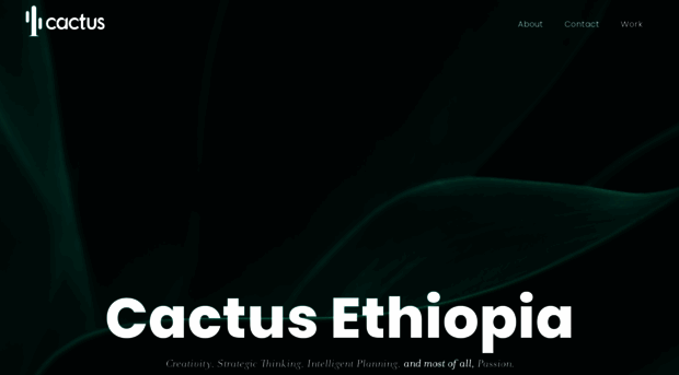 cactusethiopia.com