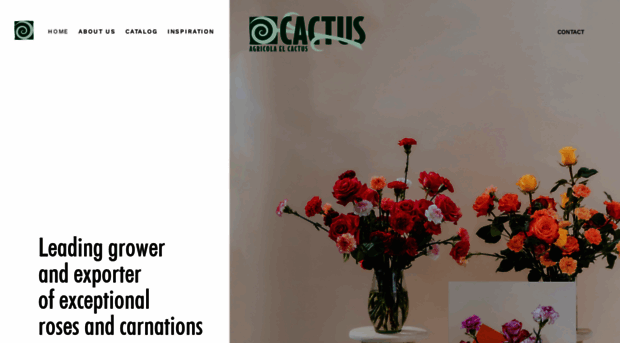 cactusflowers.com.co