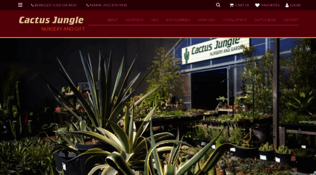 cactusjungle.com