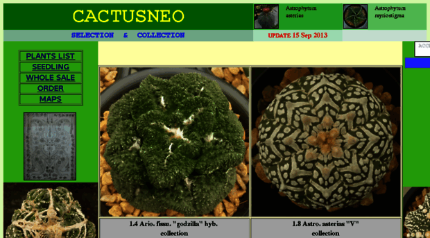 cactusneo.com