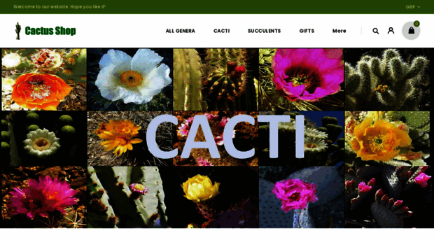 cactusshop.co.uk