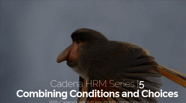 cadena-hrmseries.com