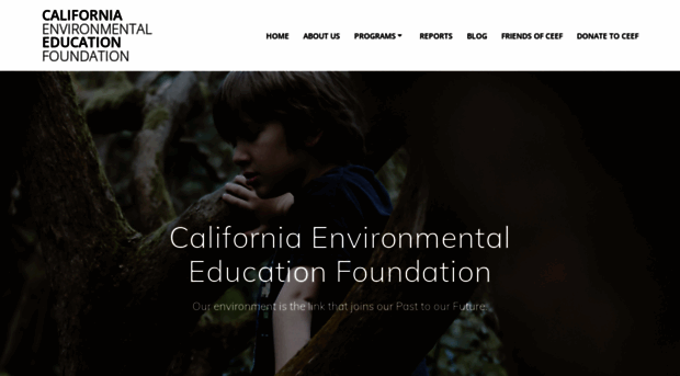 caeefoundation.org