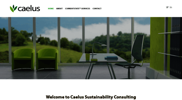 caelusconsulting.com