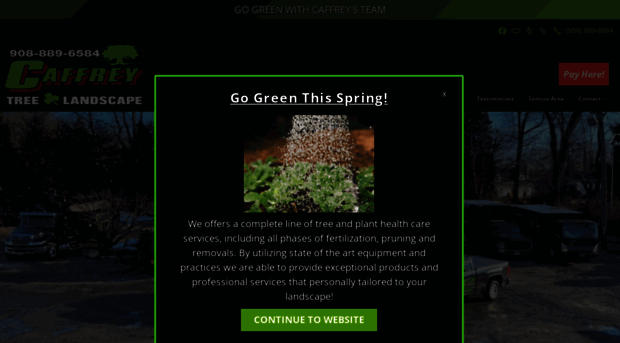 caffreytree.com