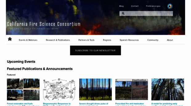 cafiresci.squarespace.com