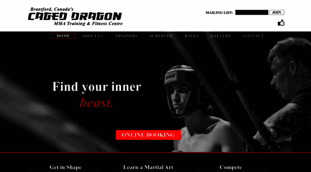 cageddragonmma.com