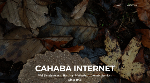 cahaba.com
