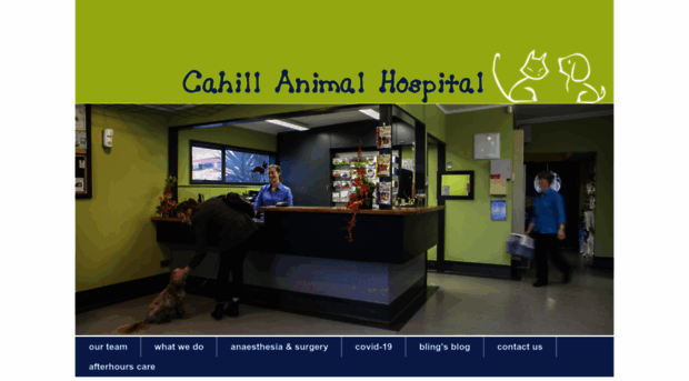 cahillanimalhospital.co.nz