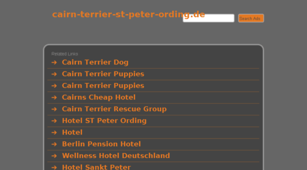 cairn-terrier-st-peter-ording.de
