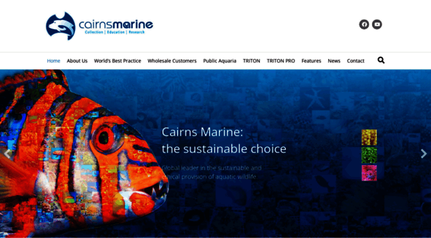 cairnsmarine.com