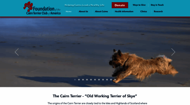 cairnterrierhealth.org