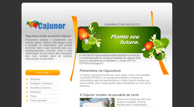 cajunor.com.br