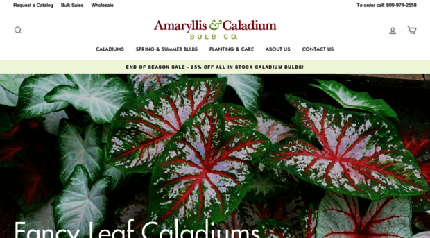 caladiumbulbs.com