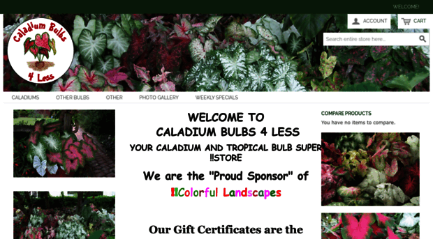 caladiumbulbs4less.com